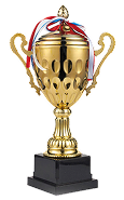 award-trophy-5