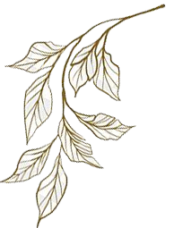 Flower-data-1