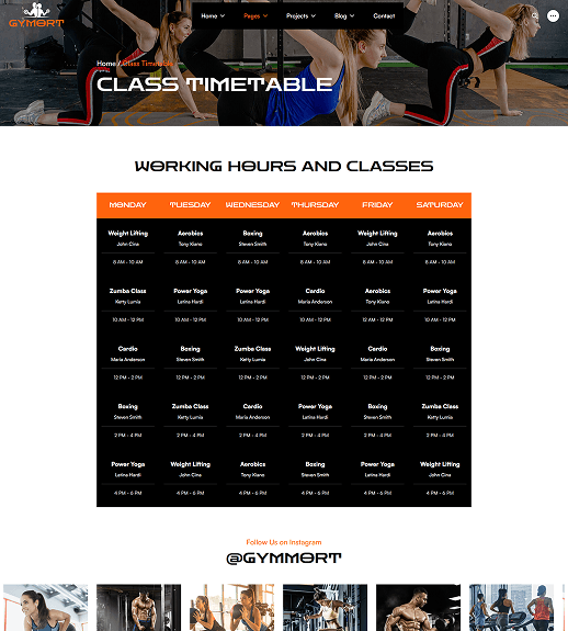 Gym Website Preview
