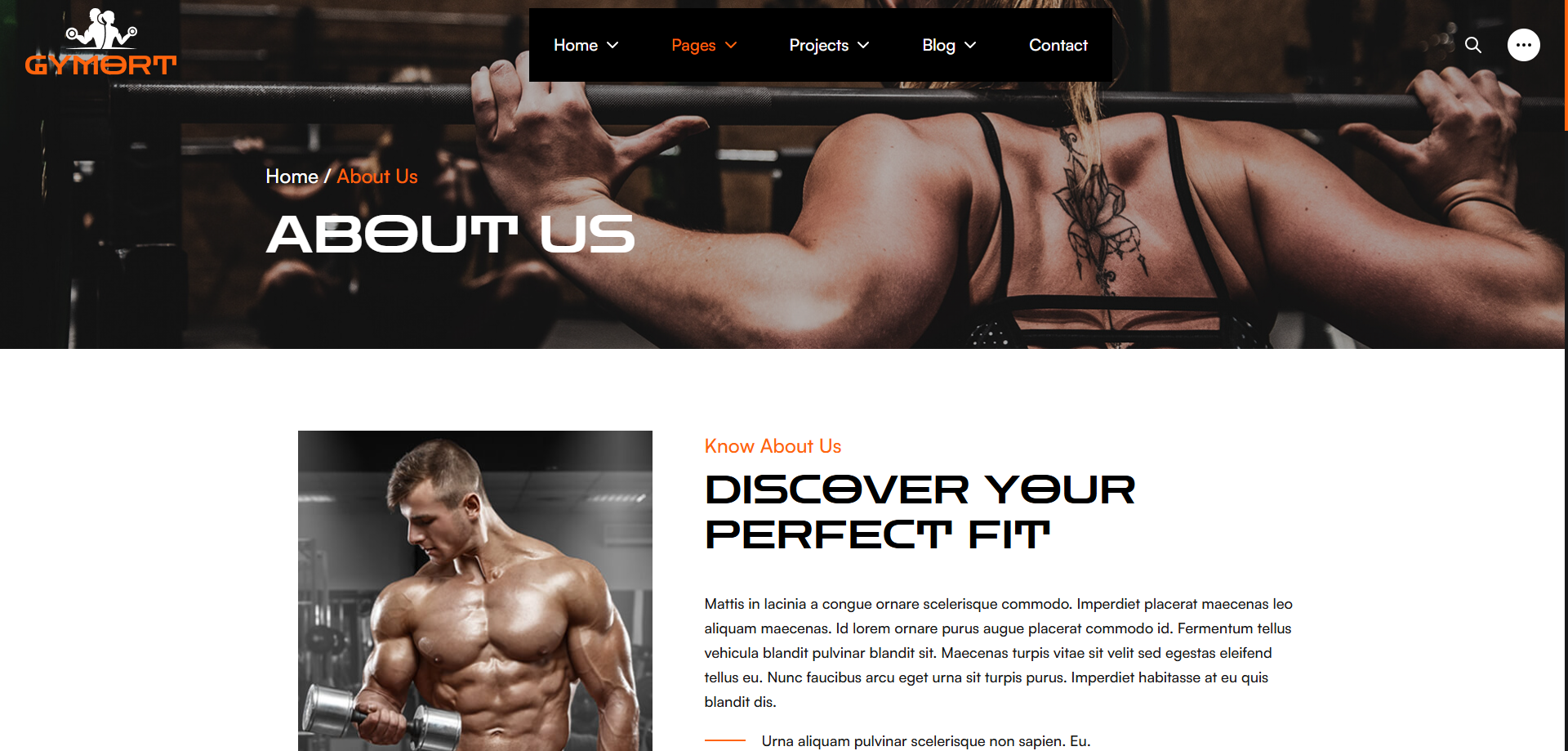 Gym Website Preview