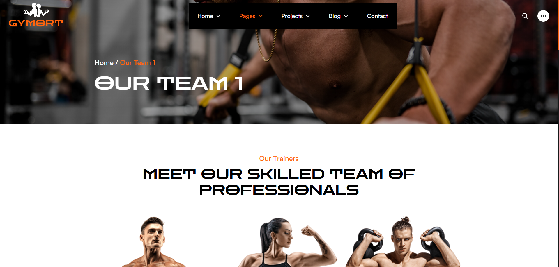 Gym Website Preview