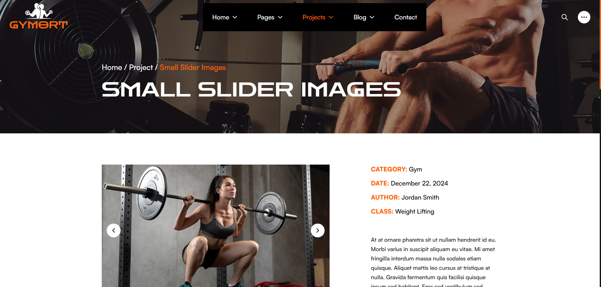 Gym Website Preview