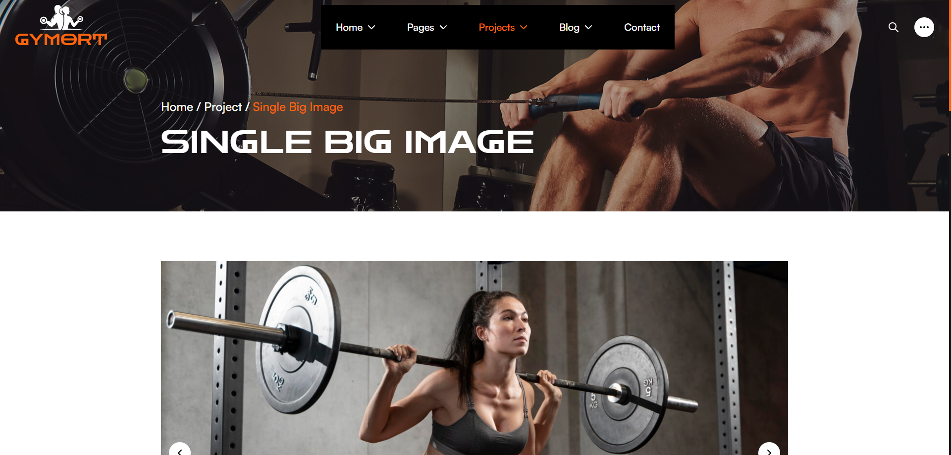 Gym Website Preview