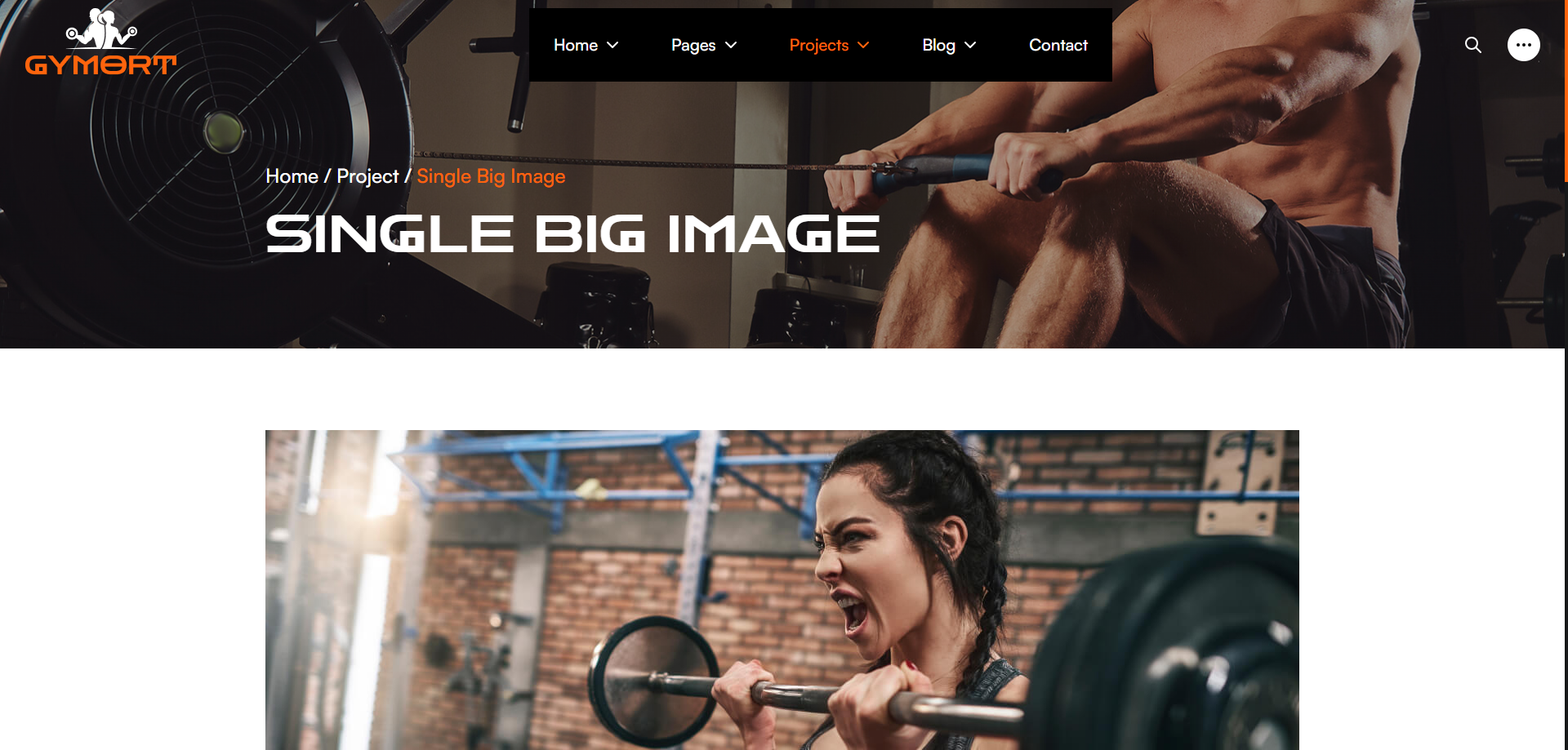 Gym Website Preview