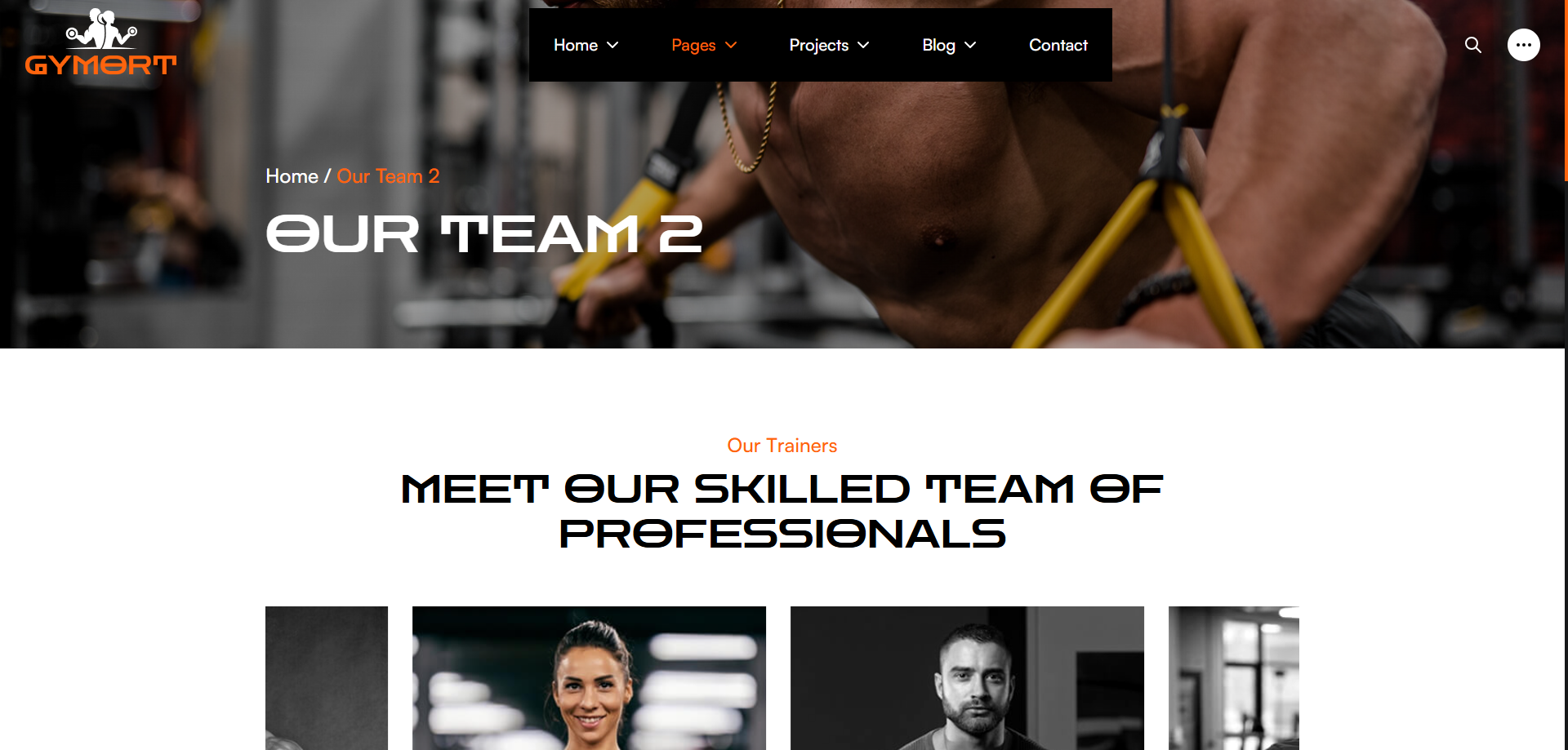 Gym Website Preview
