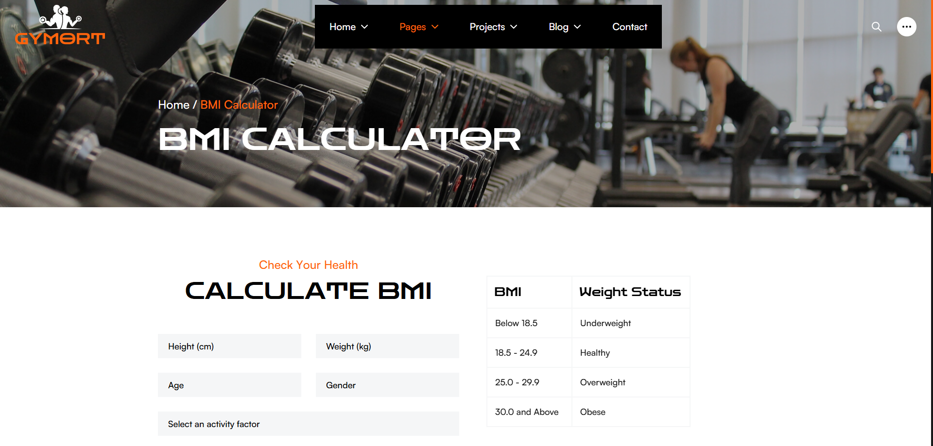 Gym Website Preview