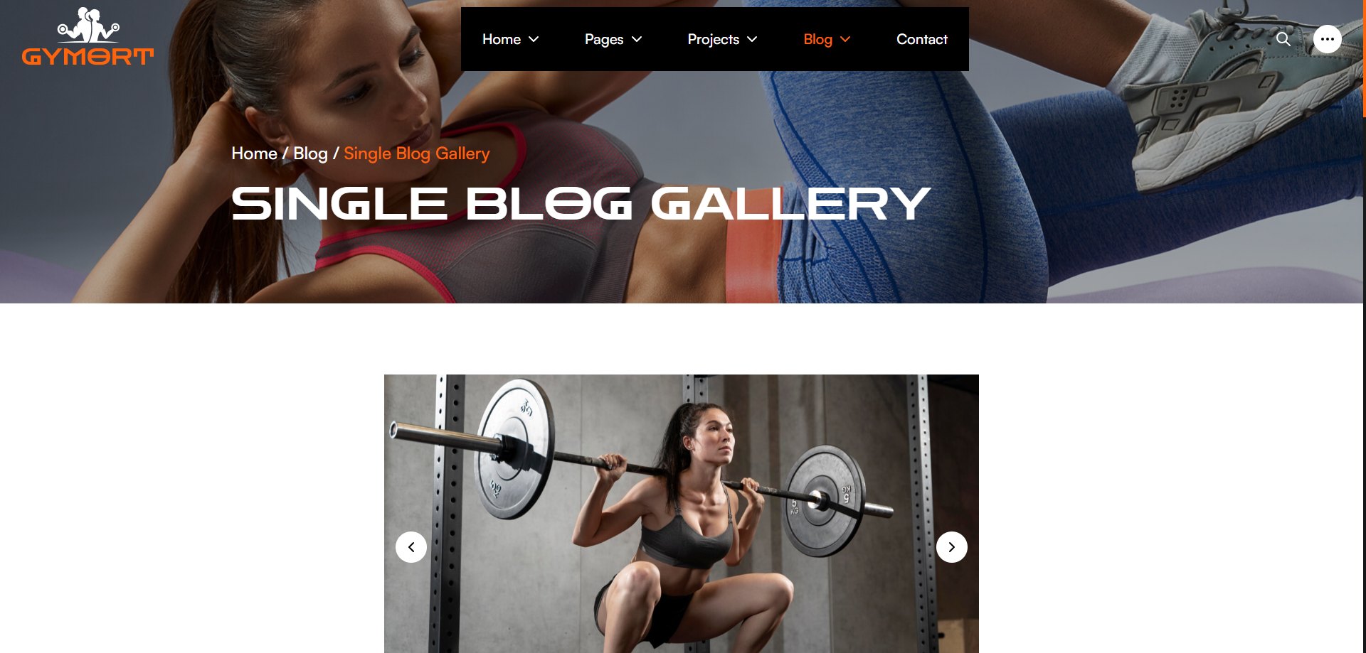 Gym Website Preview