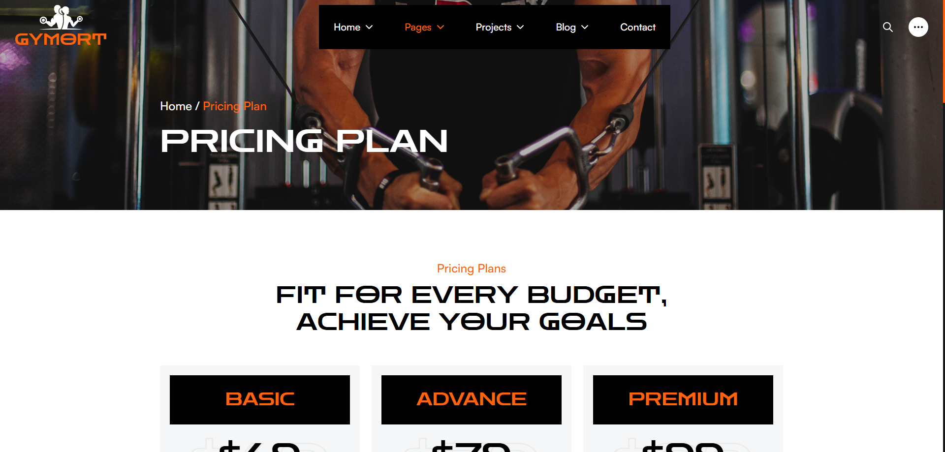 Gym Website Preview