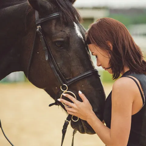 horse_bg