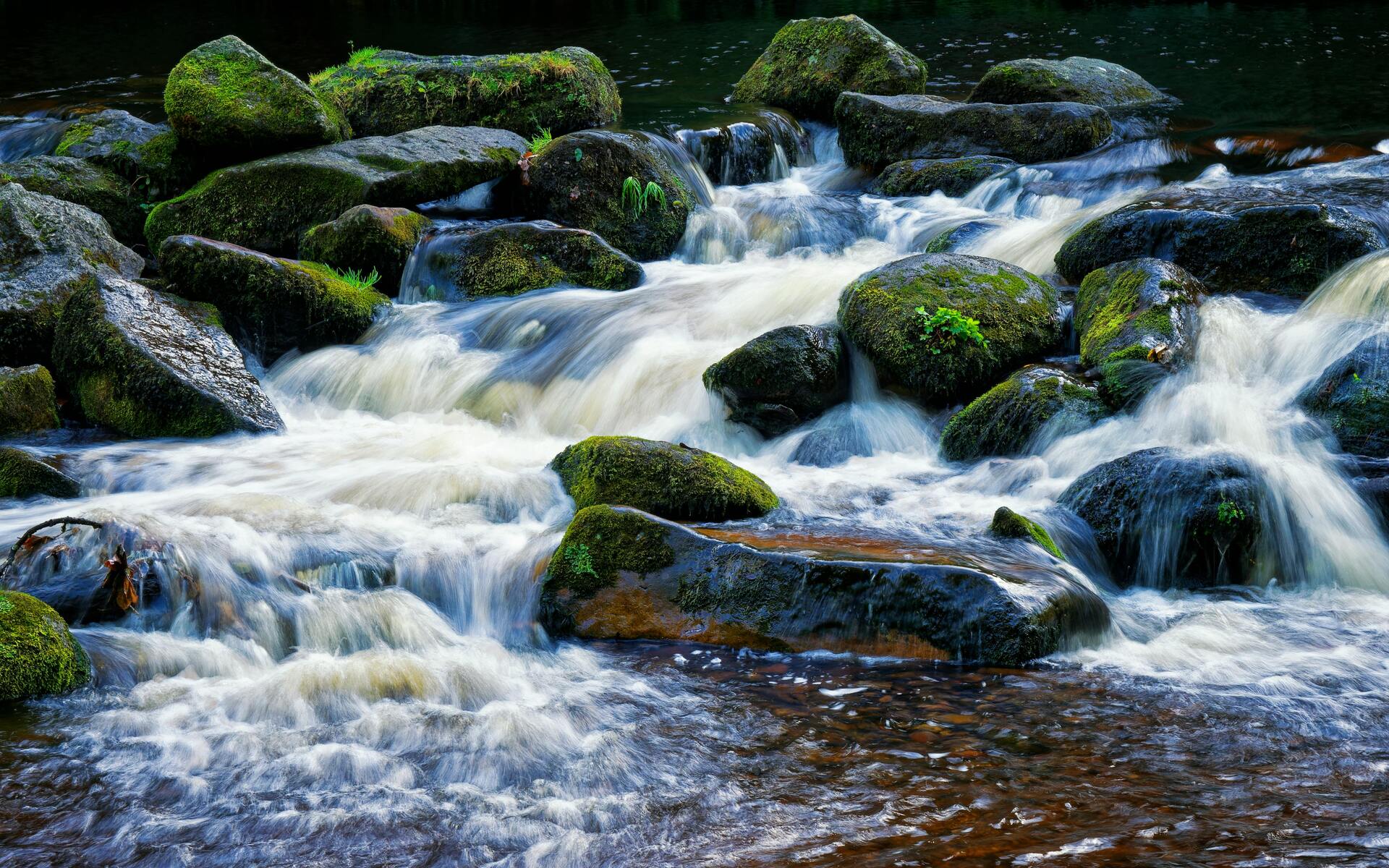 Images