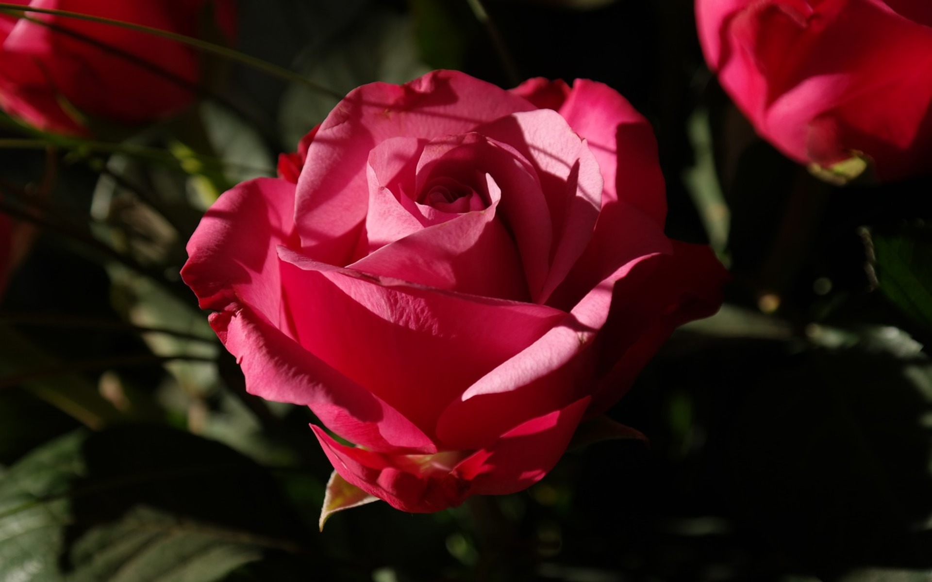 Images