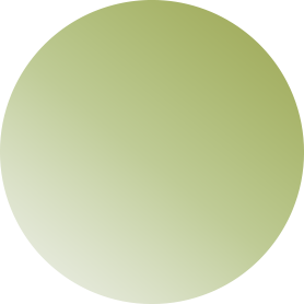 Shape-1.png