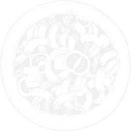 this is a back images