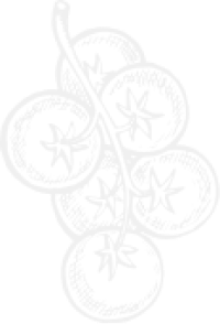 this is a back images